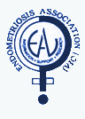 Endometriosis Association (Vic)